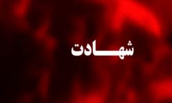 جنایت اشرار مسلح وابسته به جریان نفاق در سمیرم/ شهادت یکی از مدافعان امنیت در دفاع از مردم