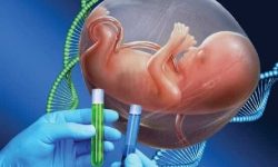 حمایت بهزیستی برای آزمایش و مشاوره ژنتیک