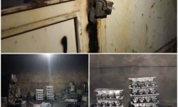 شناسایی و برخورد با واحدآلاینده زیست محیطی