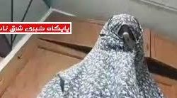 توهینآمیز زینب موسوی نسبت به فردوسی و شاهنامه